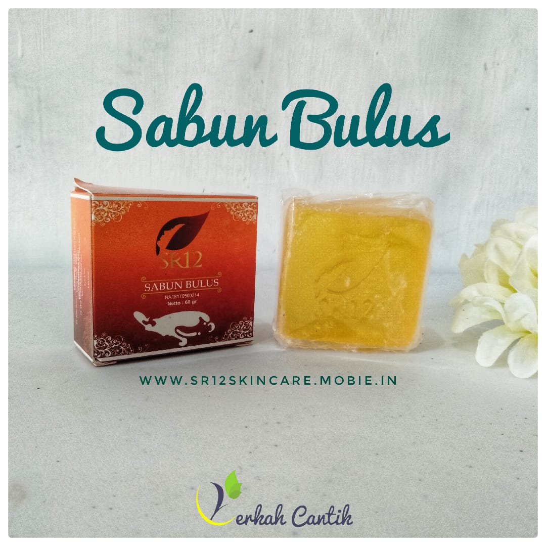 Sabun Bulus
